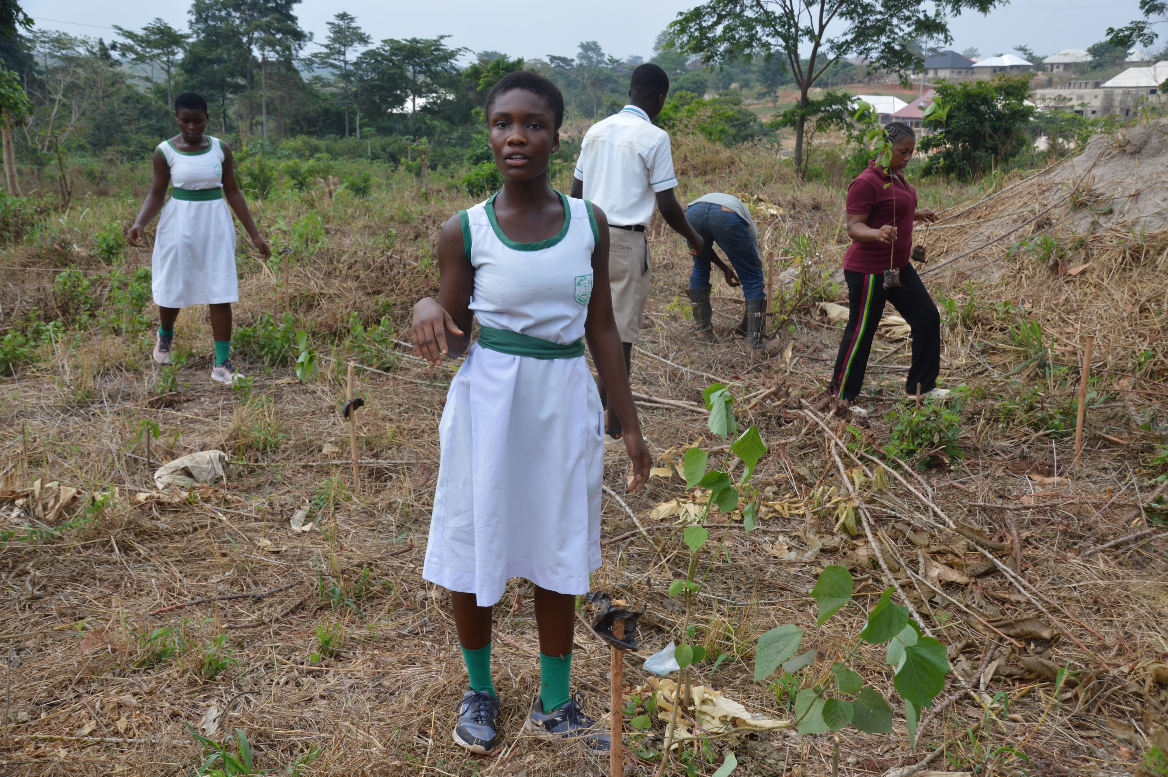 Environmental Awareness